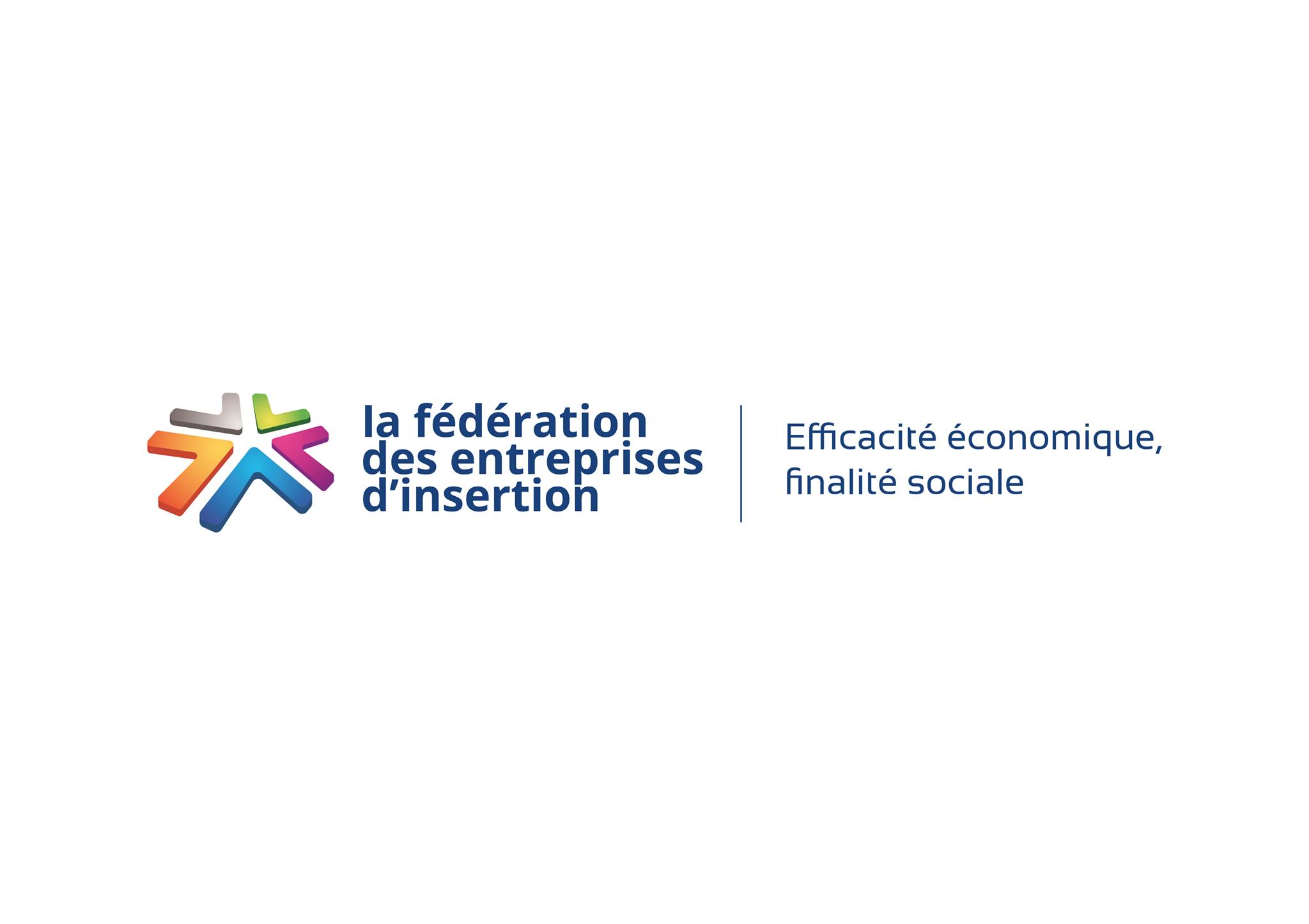 logo FEI