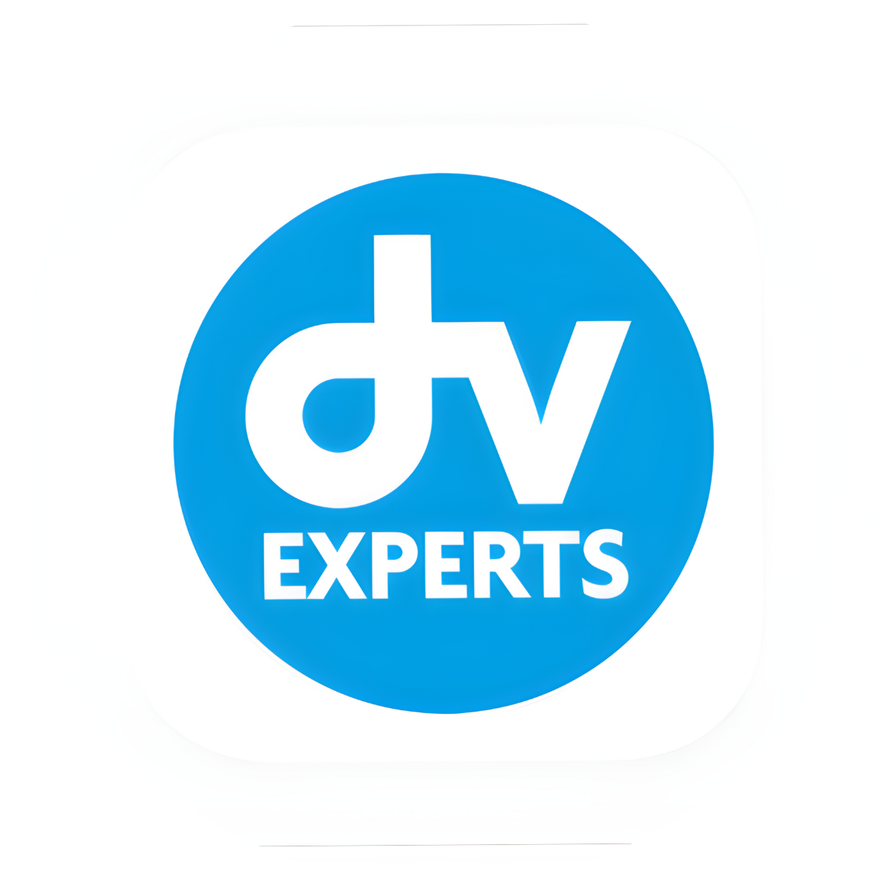 logo dv expert